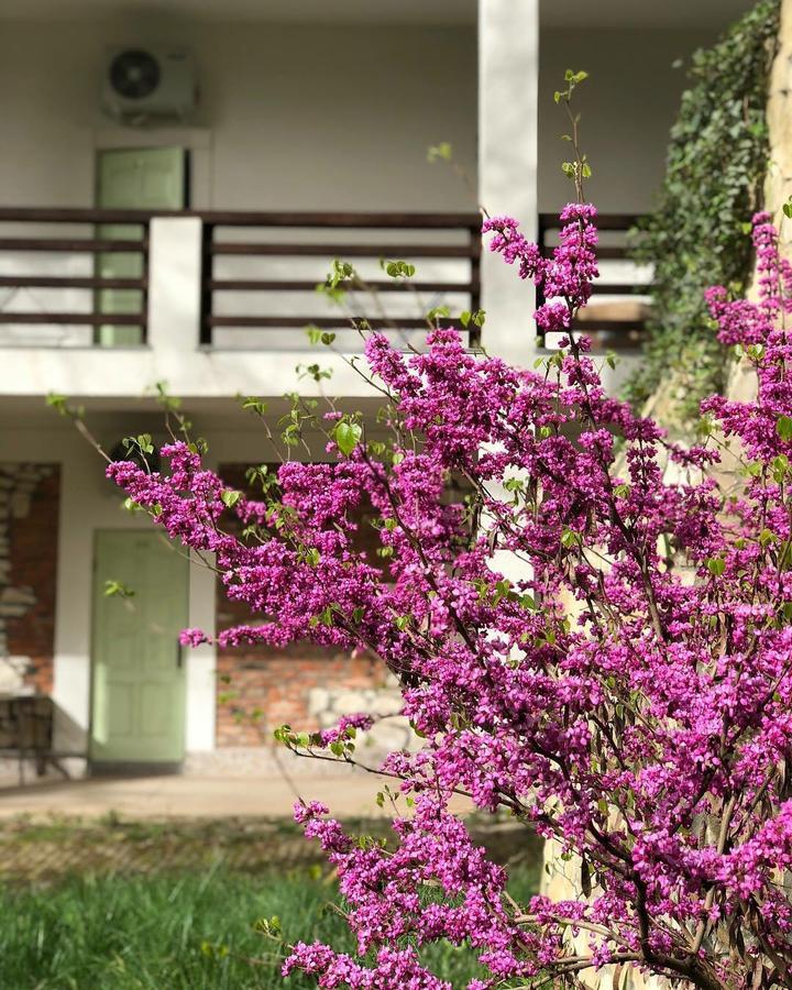 Heliopark Gora Bagrata Hotel Suhumi Exterior foto